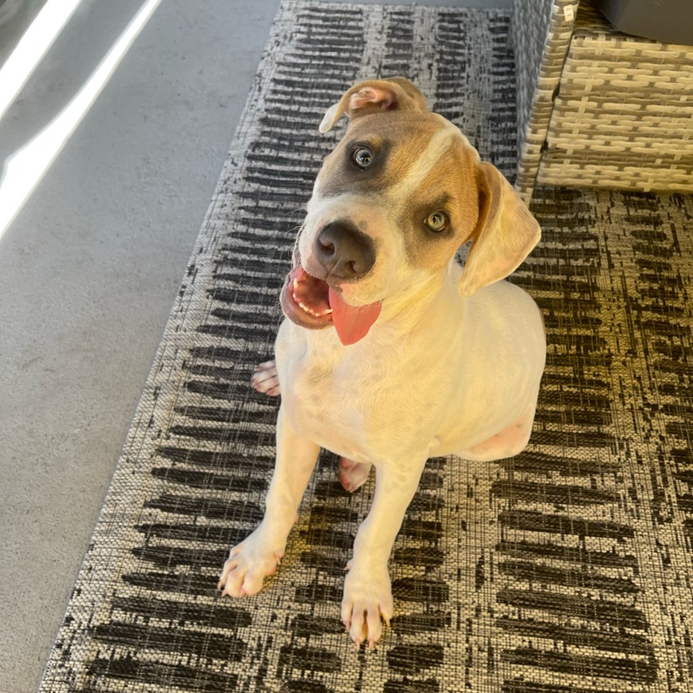 Meet your Posher, Skylar